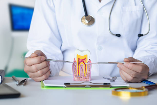 Best Walk-In Emergency Dentist in Nellieburg, MS